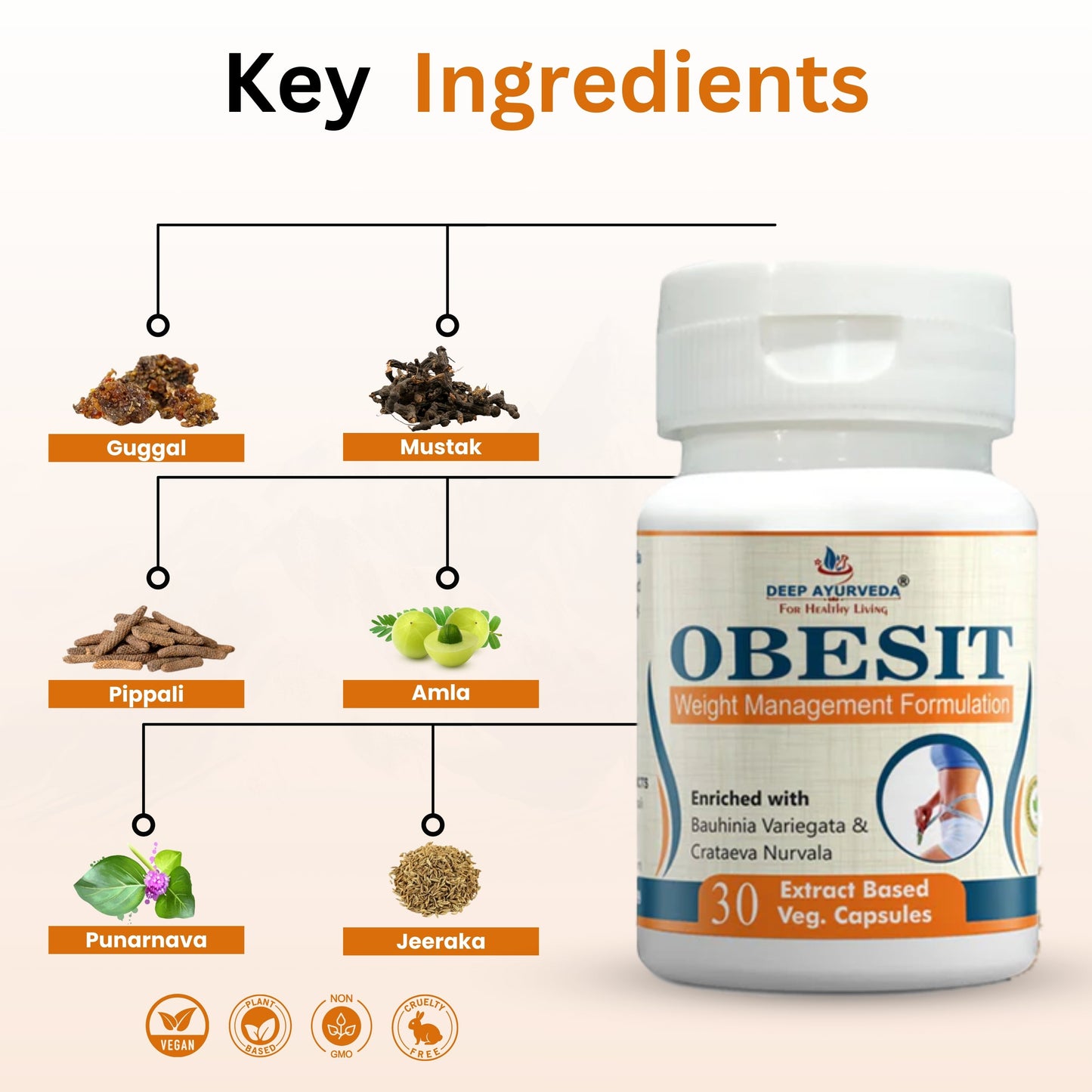 Obesit Helps in Weight Management and Improves Metabolism