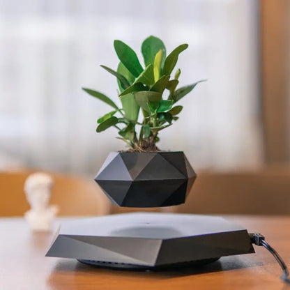 Levitating Plant Pot