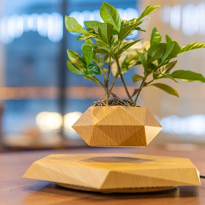 Levitating Plant Pot