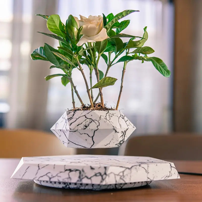 Levitating Plant Pot