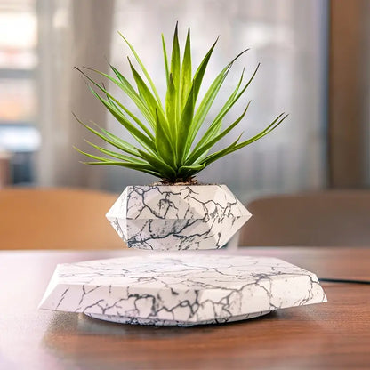Levitating Plant Pot